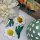 Daffodil